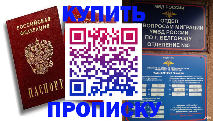 прописка иностранных граждан в Элисте